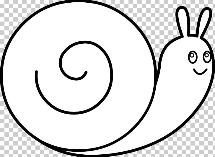 snail clip art black and white