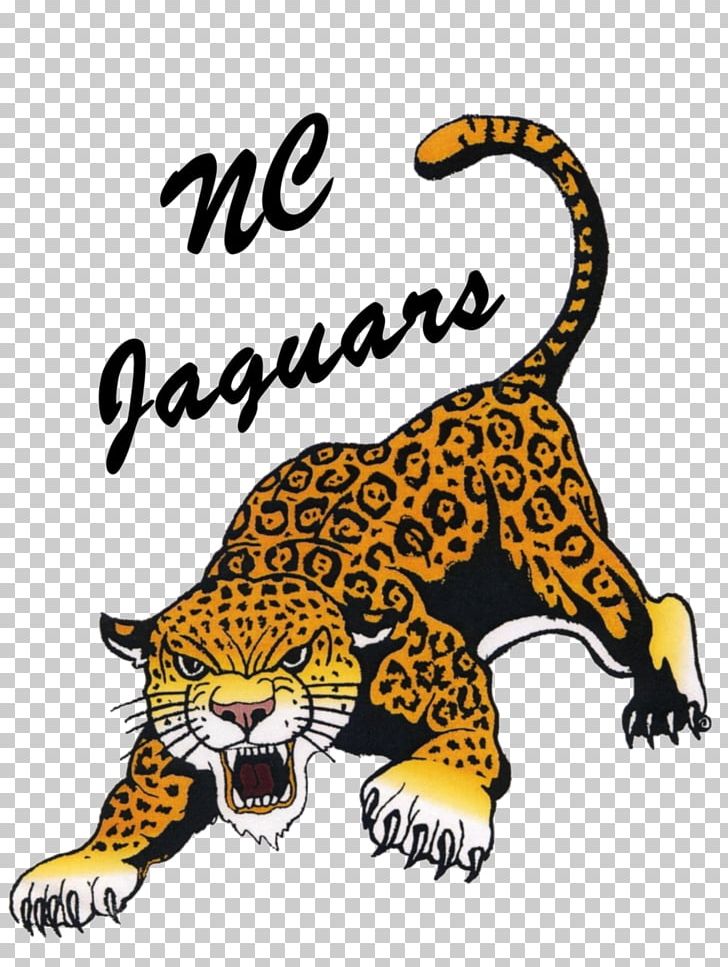 Tiger Jacksonville Jaguars Northern Cass Middle School PNG, Clipart, Animal, Animals, Big Cats, Carnivoran, Cat Like Mammal Free PNG Download