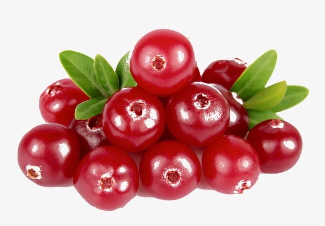 Cranberry PNG, Clipart, Cranberry, Cranberry Clipart, Decoration, Red Free PNG Download