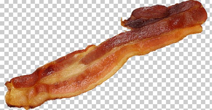 Bacon Club Sandwich Breakfast Domestic Pig PNG, Clipart, Animal Source Foods, Back Bacon, Bacon, Bratwurst, Breakfast Free PNG Download