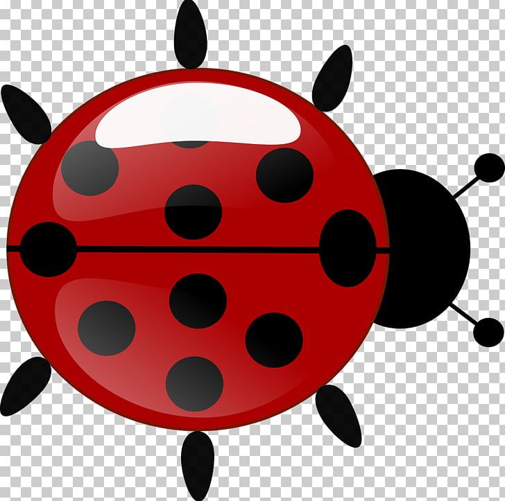 Beetle Ladybird Antenna PNG, Clipart, Animal, Animals, Antenna, Beetle, Beneficial Insects Free PNG Download