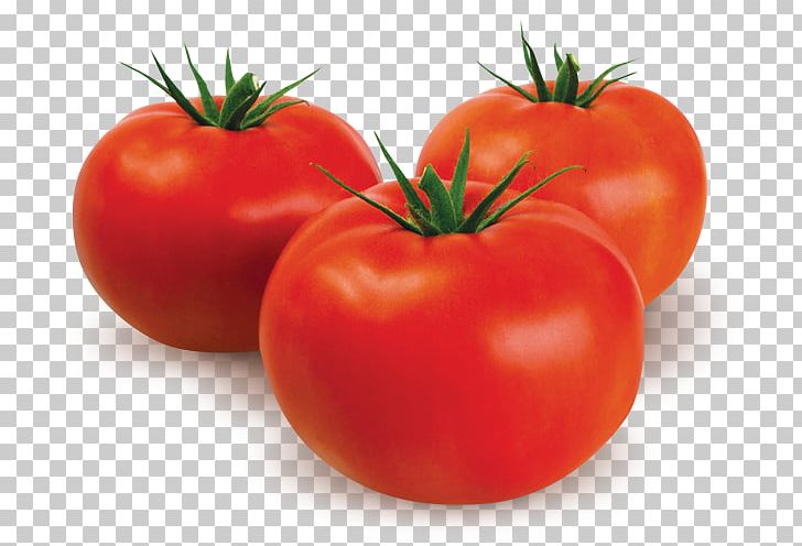 Plum Tomato Bush Tomato Vegetarian Cuisine Food PNG, Clipart, Berber, Bush Tomato, Diet, Diet Food, Food Free PNG Download