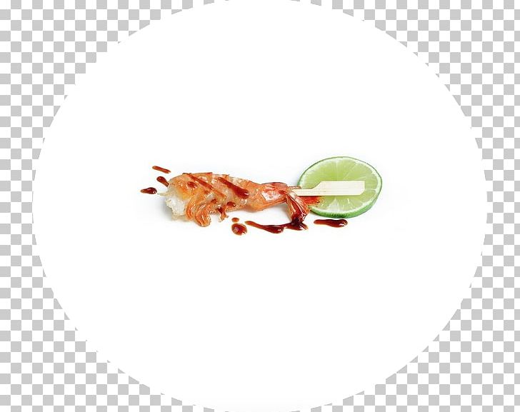 Insect Decapoda Pest Seafood PNG, Clipart, Animal Source Foods, Decapoda, Insect, Invertebrate, Membrane Winged Insect Free PNG Download