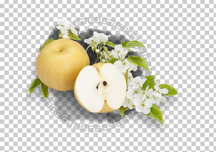 Laiyang Pear Poster PNG, Clipart, Apple, Chanel Perfume, Download, Ewha, Floral Design Free PNG Download