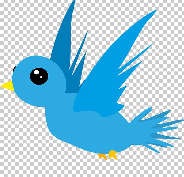 Bird Animation PNG, Clipart, Animals, Animation, Beak, Bird, Bluebird Free PNG Download
