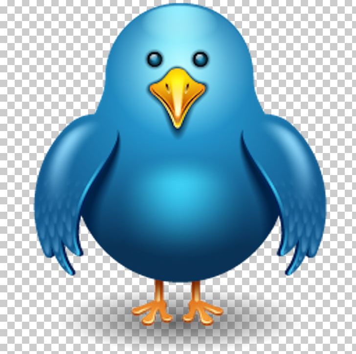 Bird Computer Icons PNG, Clipart, Animals, Beak, Bird, Chicken, Computer Icons Free PNG Download