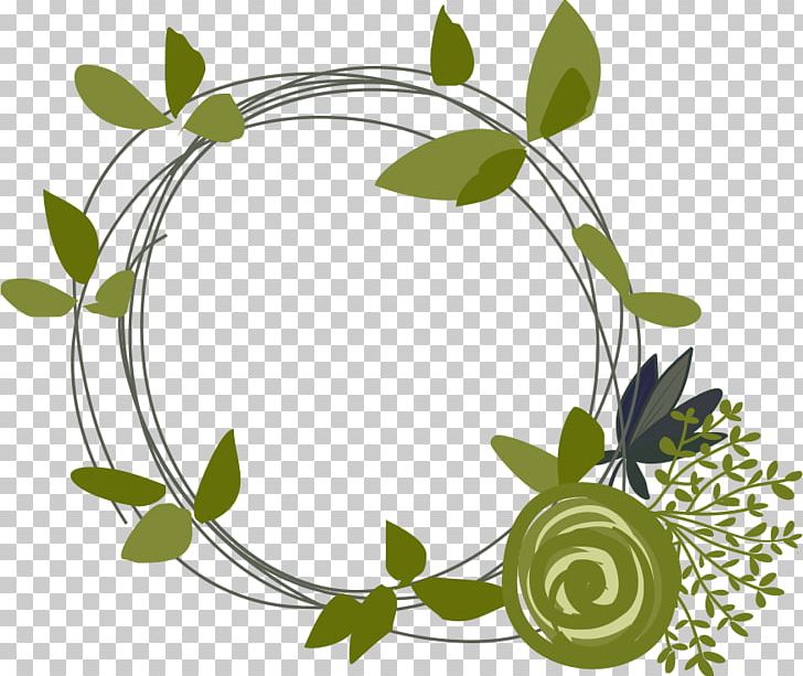 Drawing PNG, Clipart, Branch, Cartoon, Circle, Computer Graphics, Decorative Free PNG Download