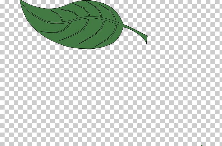 Leaf Green Plant Stem PNG, Clipart, Green, Leaf, Line, Plant, Plant Stem Free PNG Download