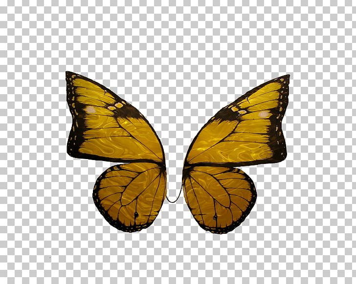 Monarch Butterfly Pieridae Nymphalidae Milkweeds PNG, Clipart, Arthropod, Brush Footed Butterfly, Butterfly, Insect, Insects Free PNG Download