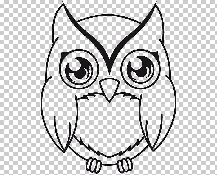 Owl Line Art Drawing PNG, Clipart, Animals, Art, Artwork, Barn Owl, Beak Free PNG Download