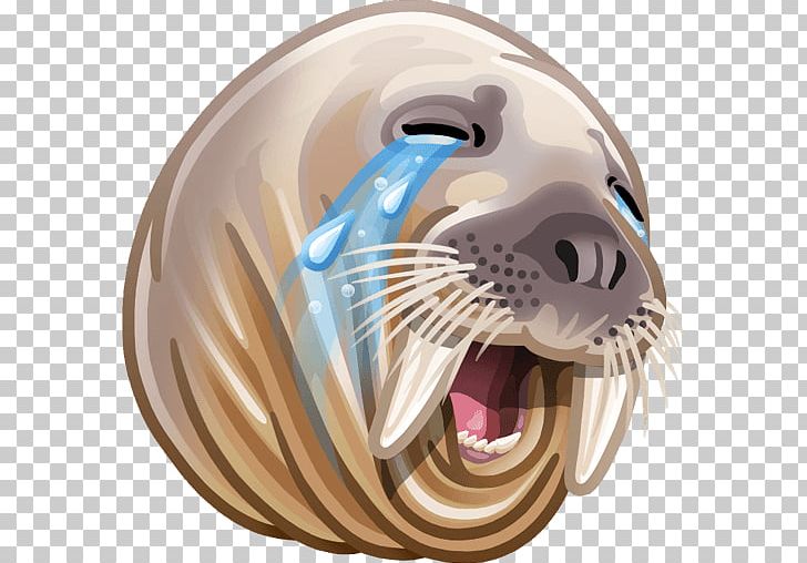 Sticker VK Walrus Telegram Odnoklassniki PNG, Clipart, Animals, Carnivoran, Fish, Information, Instagram Free PNG Download