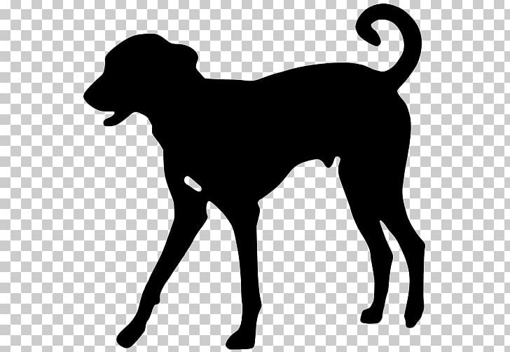 Dobermann Rottweiler Pet Sitting Puppy PNG, Clipart, Animals, Black, Black And White, Carnivoran, Dobermann Free PNG Download