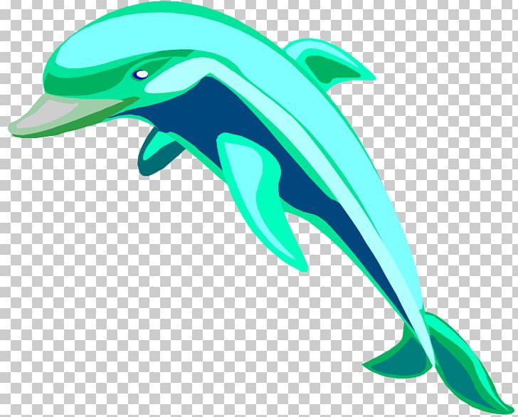 Spinner Dolphin Bottlenose Dolphin Free Content PNG, Clipart, Animal Figure, Beak, Bottlenose Dolphin, Chinese White Dolphin, Com Free PNG Download