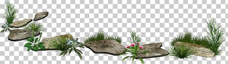 Photography Branch Others PNG, Clipart, Aquarium Decor, Barn, Branch, Desktop Wallpaper, Drawing Free PNG Download