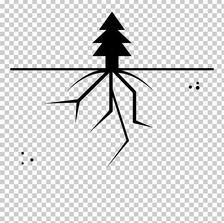 Coloring Book Drawing Tree Ausmalbild Root PNG, Clipart, Angle, Area, Ausmalbild, Bhojpuri, Black Free PNG Download