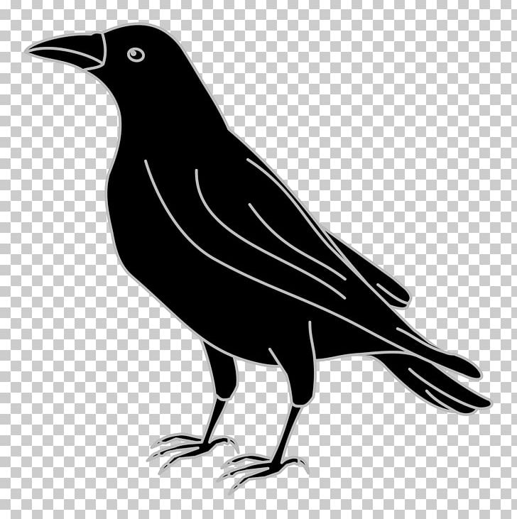 France Crows Heraldry Coat Of Arms Raven PNG, Clipart, American Crow, Animals, Beak, Bird, Black And White Free PNG Download