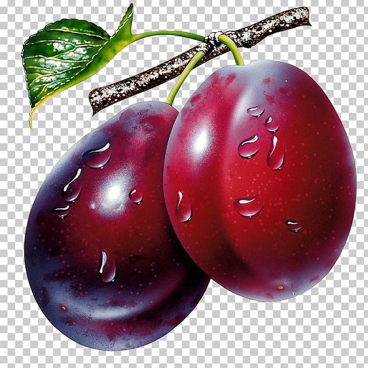 Plum Fruit PNG, Clipart, Accessory Fruit, Apple, Berry, Cherry, Clip Art Free PNG Download