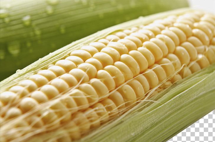 Corn On The Cob Maize Crop PNG, Clipart, Commodity, Corn, Corn Cartoon, Corn Flakes, Corn Juice Free PNG Download