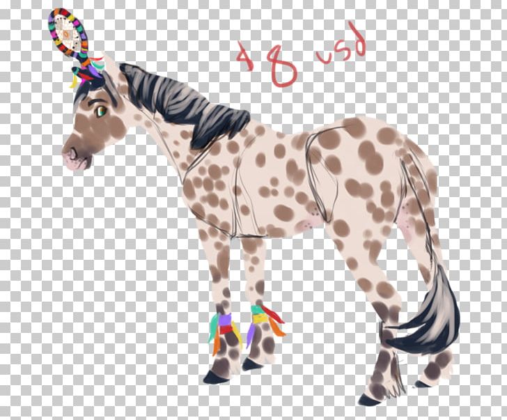 Horse Tack Giraffe Neck Snout PNG, Clipart, Animal, Animal Figure, Animals, Giraffe, Giraffidae Free PNG Download