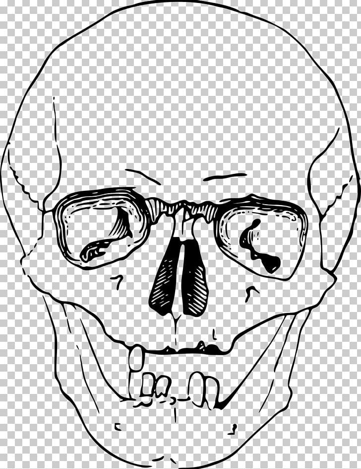 Human Skull Calavera Drawing PNG, Clipart, Angle, Area, Artwork, Black, Black And White Free PNG Download