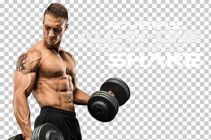 Muscle Bodybuilding Anabolism Physical Strength Protein PNG, Clipart, Abdomen, Amino Acid, Anabolism, Arm, Bodybuilder Free PNG Download