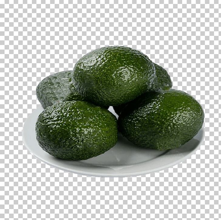 Lime Avocado Fruit Salad PNG, Clipart, Auglis, Avocado, Avocado Juice, Avocado Oil Seed, Avocados Free PNG Download