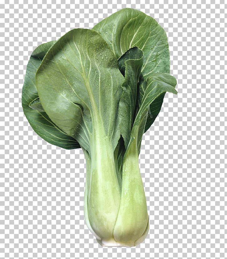 Cabbage Chinese Cuisine Bok Choy Vegetable Chard PNG, Clipart, Brassica, Brassica Oleracea, Food, Green Apple, Green Tea Free PNG Download