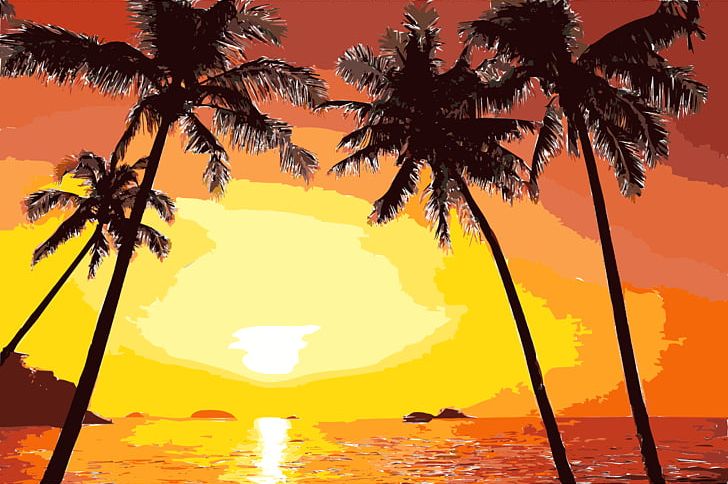 Sunset Arecaceae Silhouette PNG, Clipart, Arecaceae, Arecales, Beach, Borassus Flabellifer, Clip Art Free PNG Download