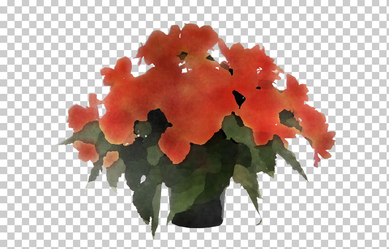 Orange PNG, Clipart, Flower, Flowerpot, Houseplant, Leaf, Orange Free PNG Download