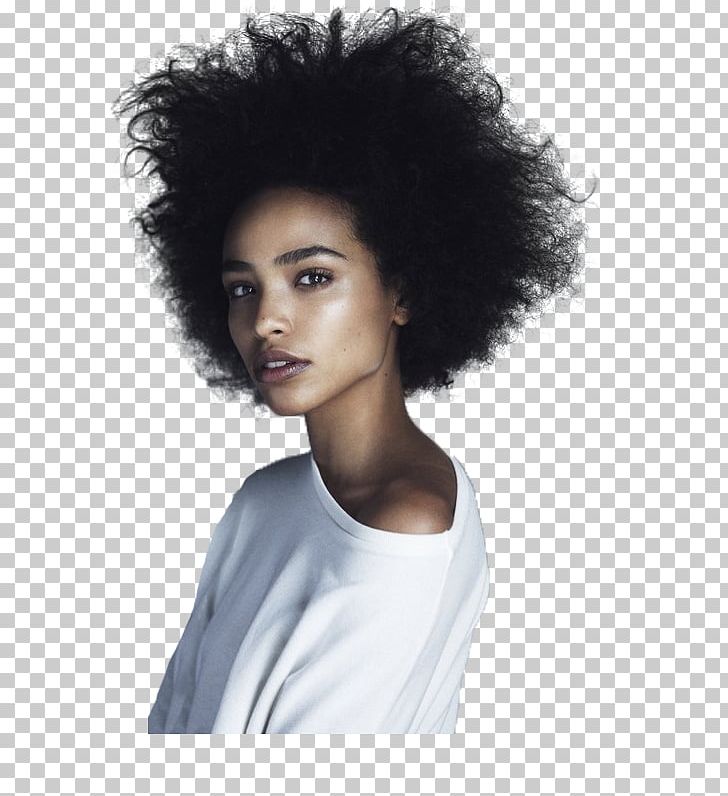 Afro Black African American Female Woman PNG, Clipart, African American, Afro, Afrotextured Hair, Artificial Hair Integrations, Beauty Free PNG Download