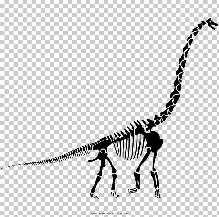 Diplodocus Velociraptor Tyrannosaurus Stegosaurus The Last Of The Dinosaurs PNG, Clipart, Amargasaurus, Black And White, Coloring Book, Dinosaur, Diplodocus Free PNG Download