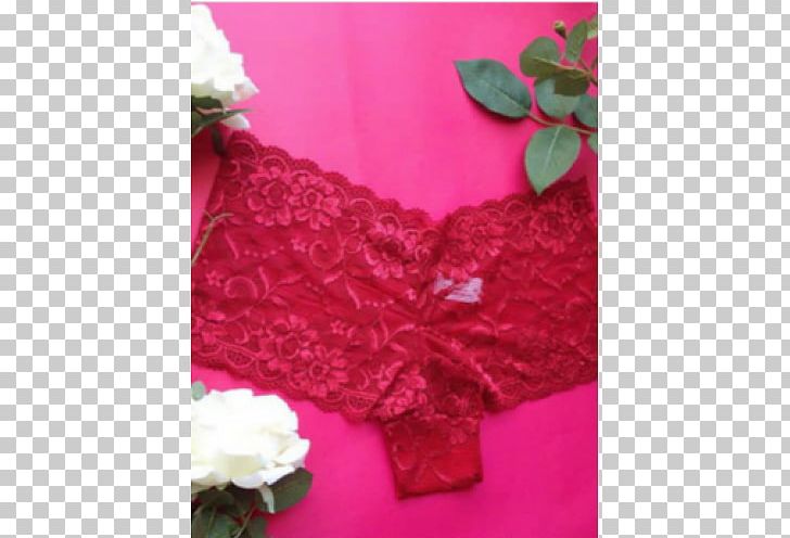 Lace Pink M Silk Wool PNG, Clipart, Calcinha, Lace, Magenta, Others, Petal Free PNG Download