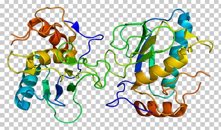 Matrix Metallopeptidase 13 Matrix Metalloproteinase MMP2 IL1B PNG, Clipart, Area, Artwork, Collagen, Collagenase, Enzyme Free PNG Download