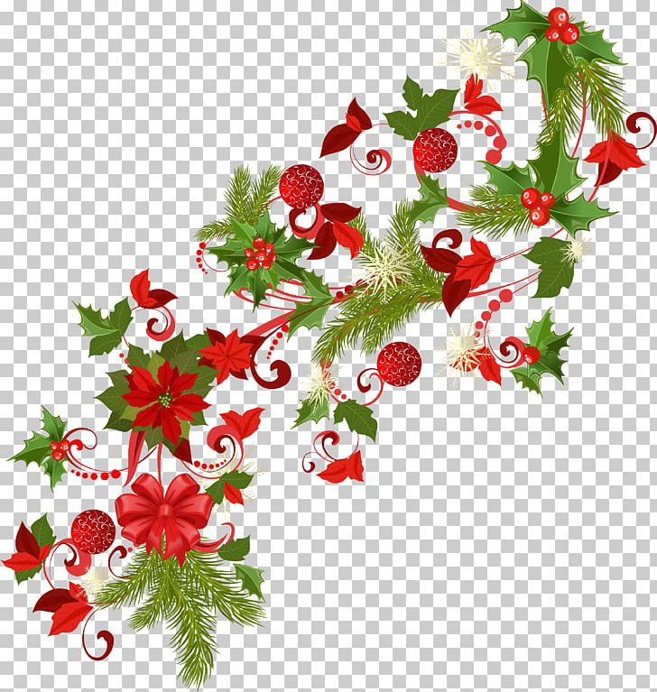 Photography Christmas PNG, Clipart, Aquifoliaceae, Aquifoliales, Branch, Christmas, Christmas Decoration Free PNG Download