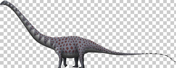Supersaurus Apatosaurus Barosaurus Dinheirosaurus Dinosaur PNG, Clipart, Ani, Apatosaurus, Argentinosaurus, Barosaurus, Brachiosaurus Free PNG Download