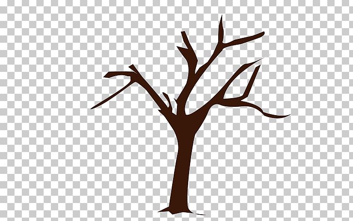 Tree Branch Drawing PNG, Clipart, Animals, Bark, Branch, Branches, Christmas Tree Free PNG Download