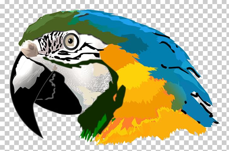 Amazon Parrot Macaw PNG, Clipart, Amazon Parrot, Animals, Ave, Beak, Bird Free PNG Download