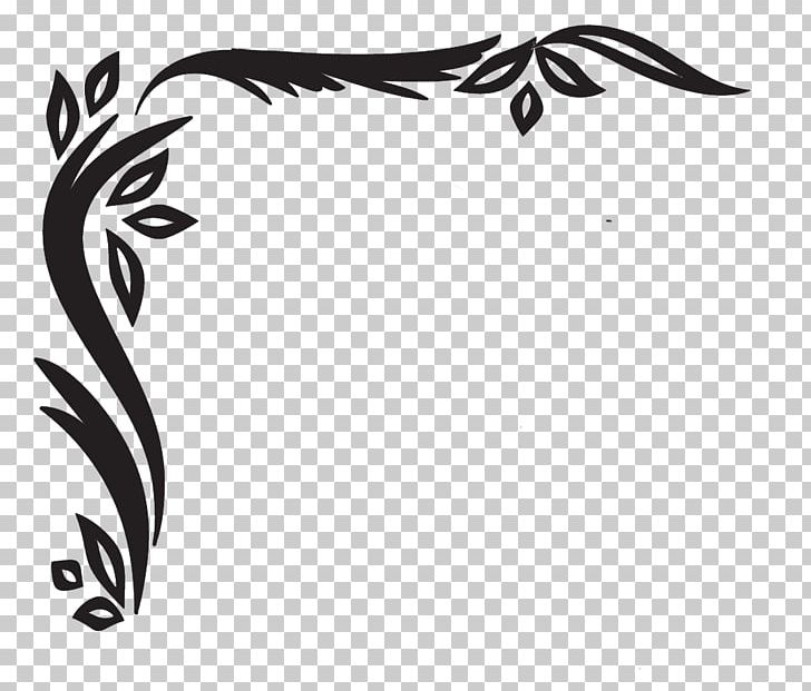 Plant Stem Feather Leaf PNG, Clipart, Art, Beak, Bird, Black, Black And White Free PNG Download
