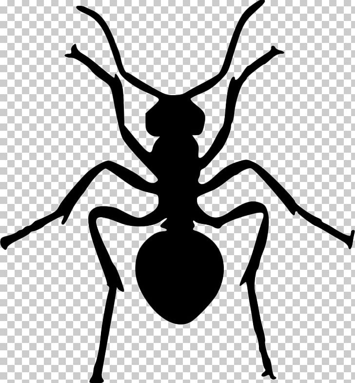 Ant Insect Silhouette PNG, Clipart, Animals, Ant, Ants, Art, Arthropod Free PNG Download