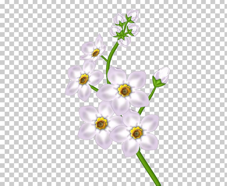 Flower Floral Design PNG, Clipart, Blog, Blossom, Branch, Clipart, Design Free PNG Download
