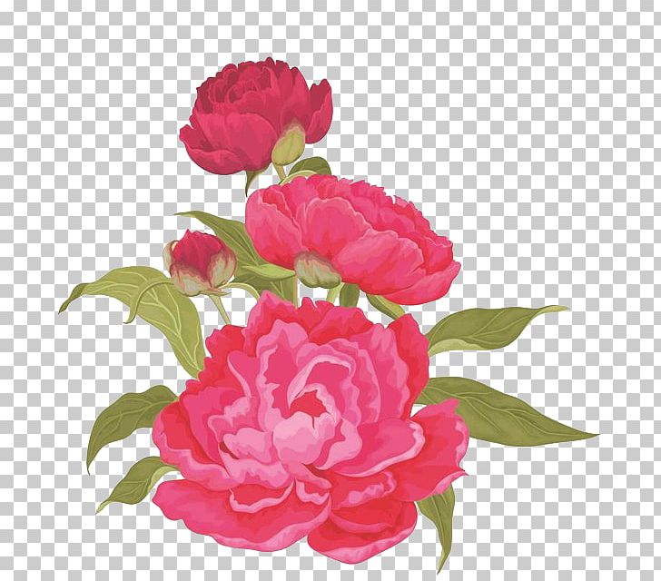 Moutan Peony Pink PNG, Clipart, Annual Plant, Artificial Flower, Cartoon, China Rose, Floribunda Free PNG Download