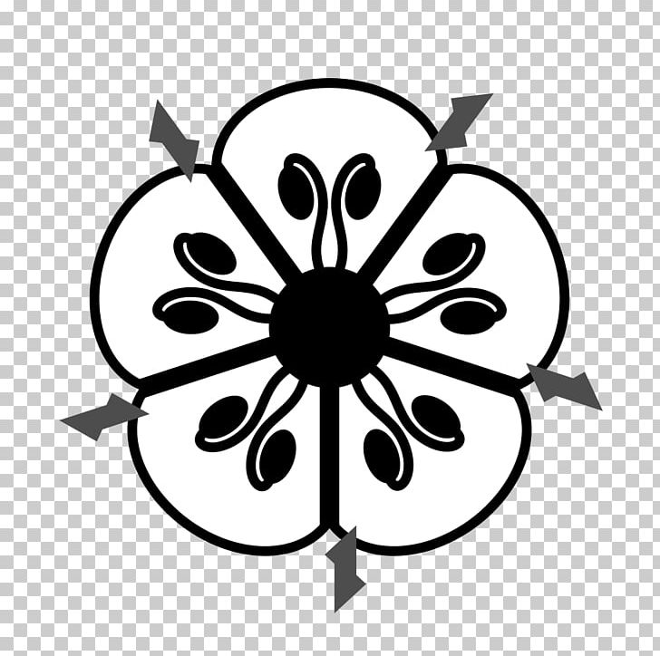 Floral Diagram Flower Sepal PNG, Clipart, Anagallis Arvensis, Artwork, Black And White, Botany, Circle Free PNG Download