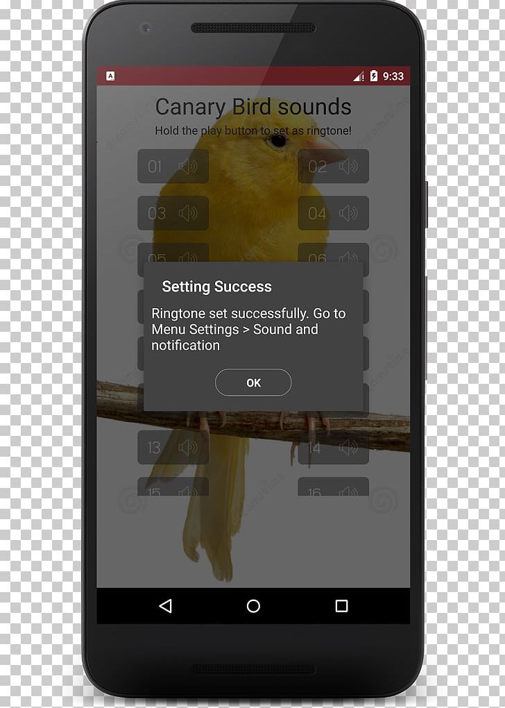 Smartphone Domestic Canary Bird Sounds PNG, Clipart, And, Bird, Bird Sounds, Canary Bird, Canary Islands Free PNG Download
