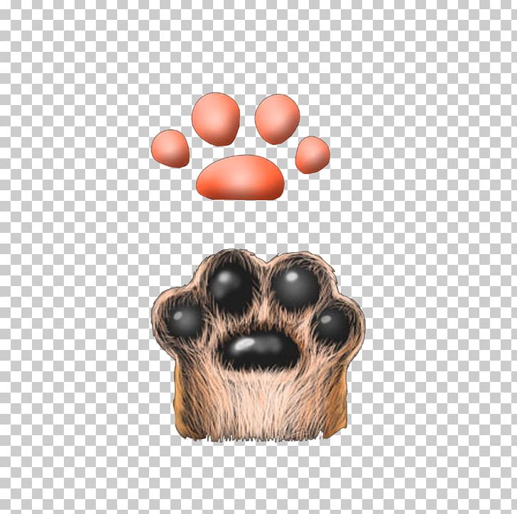 Cat Claw Dog Computer File PNG, Clipart, Black Cat, Breed, Cartoon, Cartoon Cat, Cartoon Hand Drawing Free PNG Download