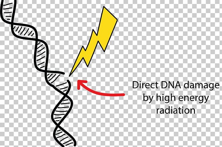 DNA Damage Radiation Therapy Cell PNG, Clipart, Apoptosis, Area, Beta Particle, Black And White, Brand Free PNG Download