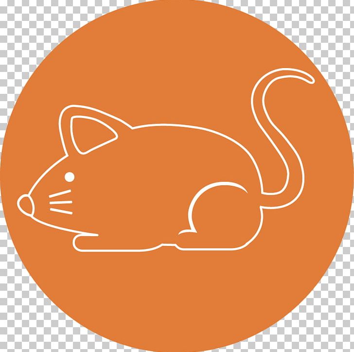 Erasmus Programme Erasmus Student Network Italia Whiskers PNG, Clipart, Carnivoran, Cartoon, Cat Like Mammal, Circle, Com Free PNG Download