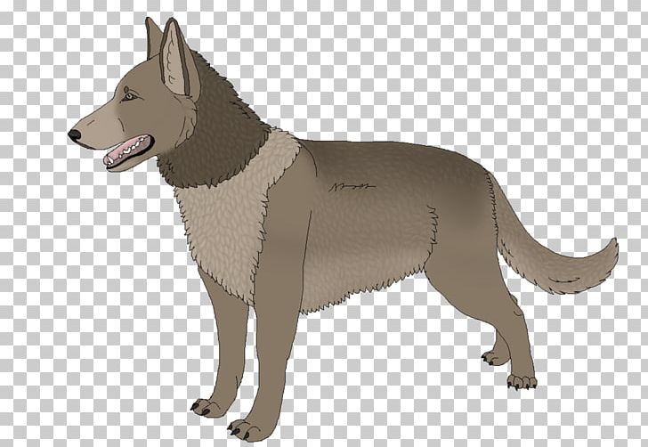 Saarloos Wolfdog Czechoslovakian Wolfdog Canaan Dog Dog Breed PNG, Clipart, Breed, Canaan Dog, Carnivoran, Czechoslovakia, Czechoslovakian Wolfdog Free PNG Download