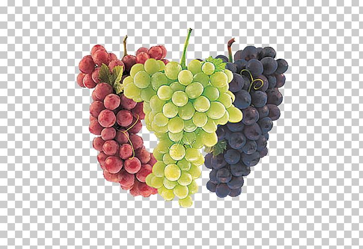 Common Grape Vine Wine Juice Cultivar PNG, Clipart, Berry, Food, Fruit, Fruit Nut, Grape Free PNG Download