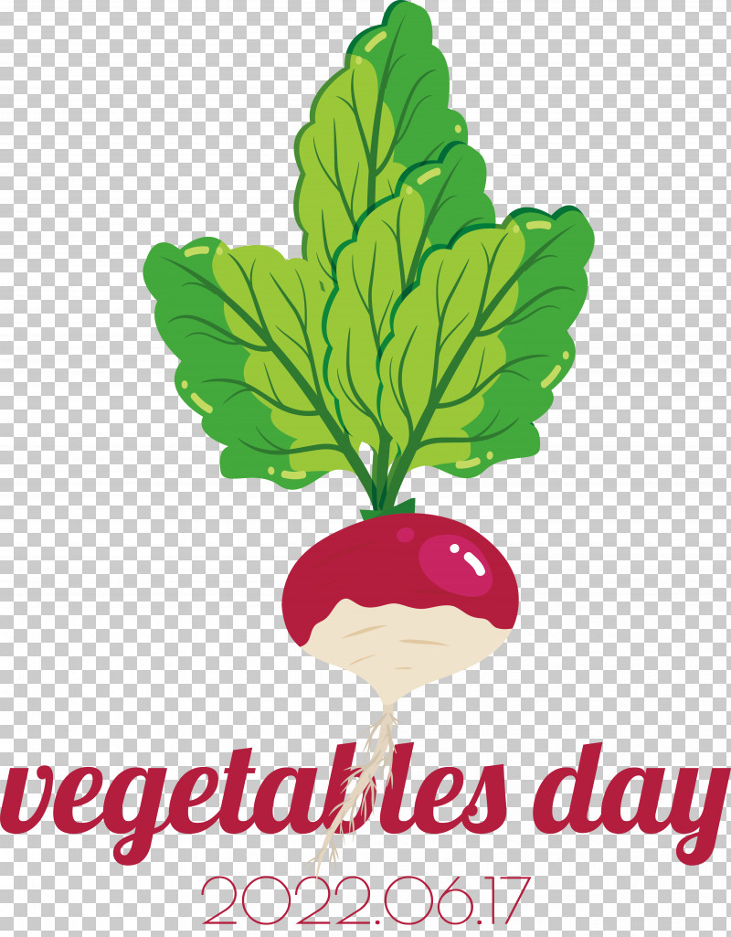 Turnip Leaf Vegetable Vegetable Turnip Vegetable Vitamin Salad PNG, Clipart, Beet Greens, Beetroot, Leaf Vegetable, Radish, Rutabaga Free PNG Download