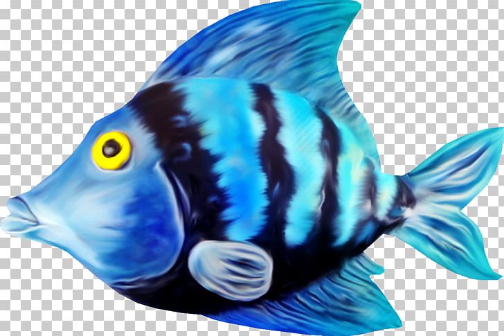 Carassius Auratus Fish PNG, Clipart, Blue, Christmas Decoration, Decorative, Digital Image, Electric Blue Free PNG Download